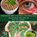 🌿 What If One Tiny Seed Could Quietly Rebuild Your Liver and Melt Away Bad Cholesterol?