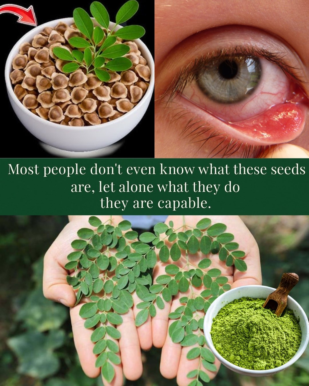 🌿 What If One Tiny Seed Could Quietly Rebuild Your Liver and Melt Away Bad Cholesterol?