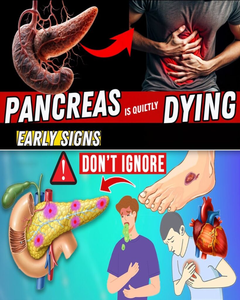 The Hidden Signs of Pancreatic Stress and the Foods That Help Heal It Naturally!