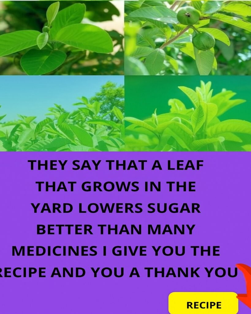 Ditch Sugar Spikes: Unlock Guava’s Hidden Power to Balance Blood Sugar Naturally!