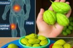 Chayote Juice: Unlock Natural Support for Joints and Bones
