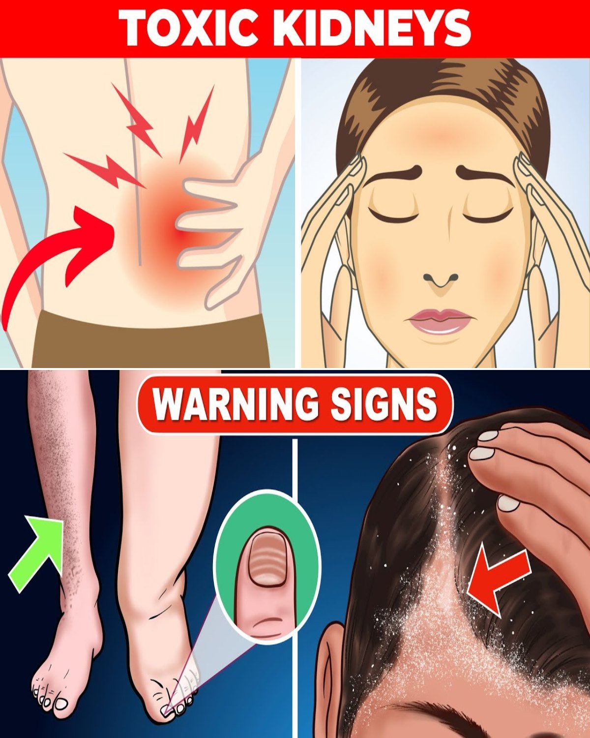 8 Warning Signs That Your Kidneys Are Toxic