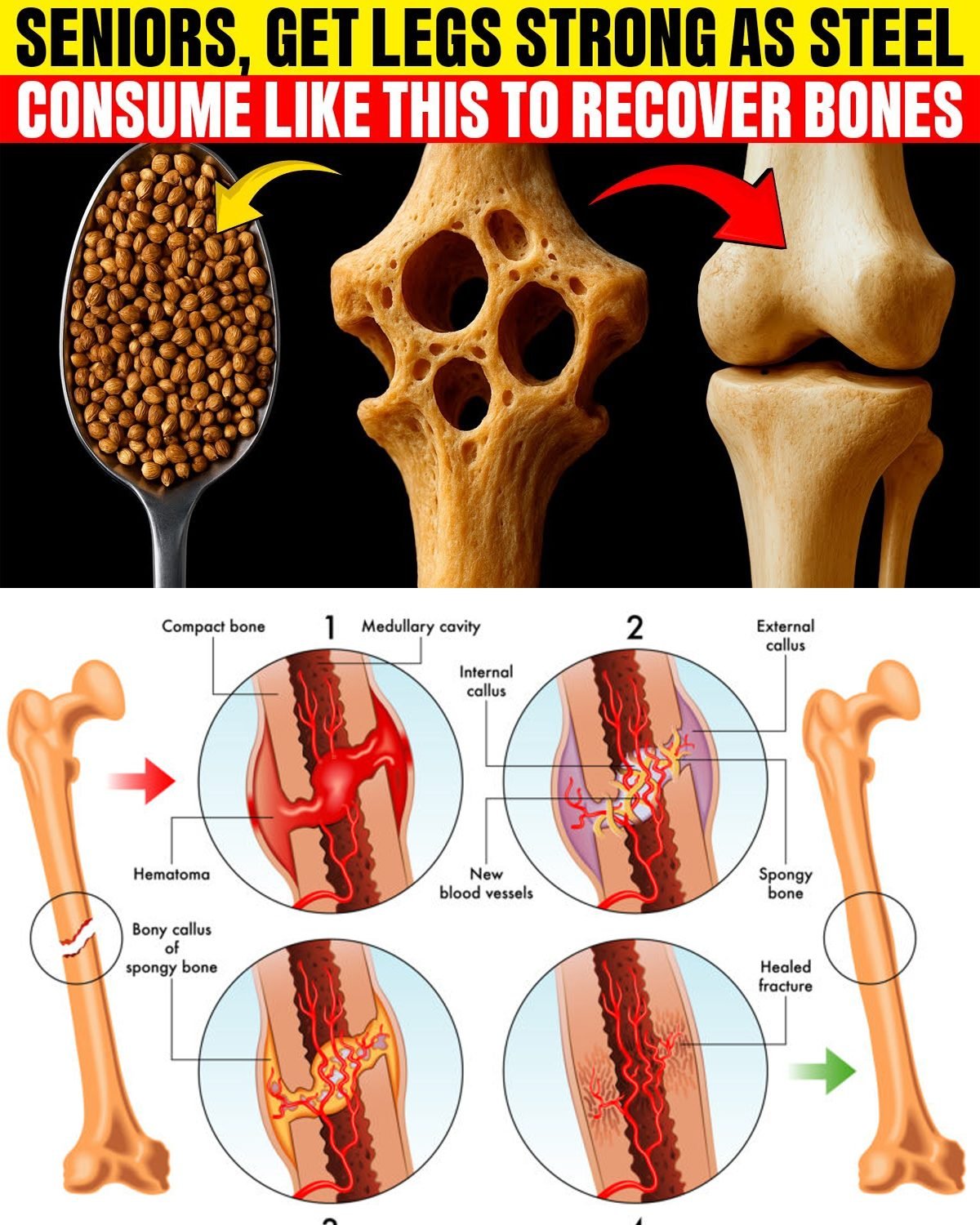 Orthopedist’s Secret: Repair Cartilage Naturally in 24 Hours