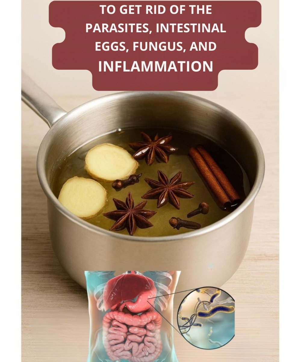 🌿 Natural Herbal Infusion to Support Digestive Health and Inner Balance