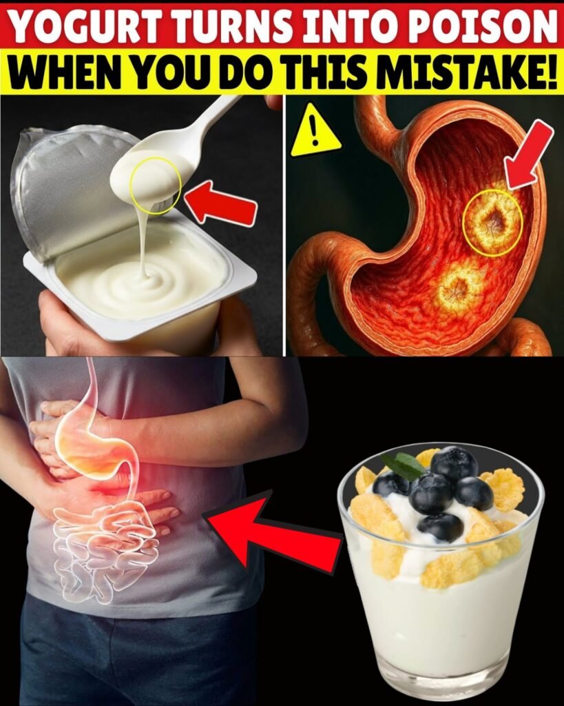 Over 60? 6 Yogurt Mistakes You Must Never Make—Even One Could Quietly Harm Your Health