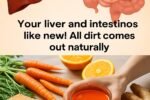Your intestines and liver will be like new! In just 14 days, all the waste comes out. – Carrot, orange, ginger and honey juice