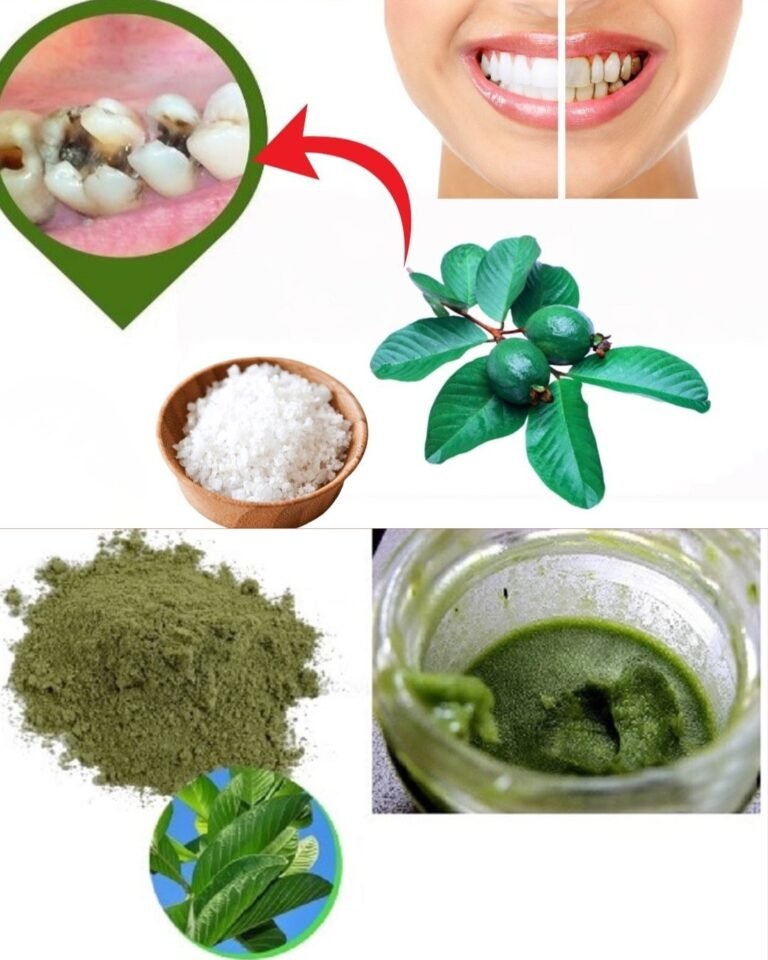 🌿 3 Simple and Affordable Ways to Support Oral Health Naturally with Guava Leaves