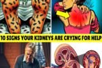 ALERT: 10 STRANGE Signs Your KIDNEYS Are Crying for Help – Don’t Ignore These! Kidney Health