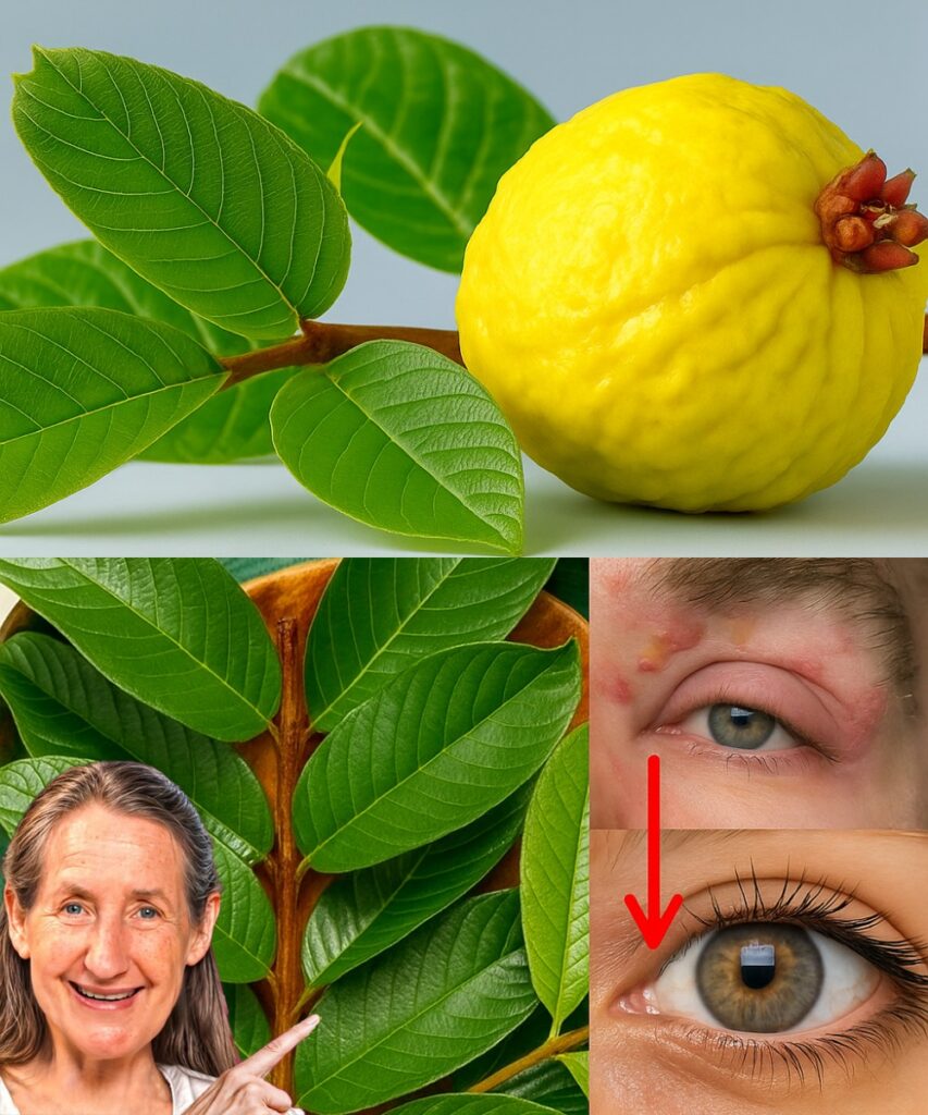 The Visionary Secret: How Guava Can Transform Your Eyesight—A Forgotten Natural Remedy!