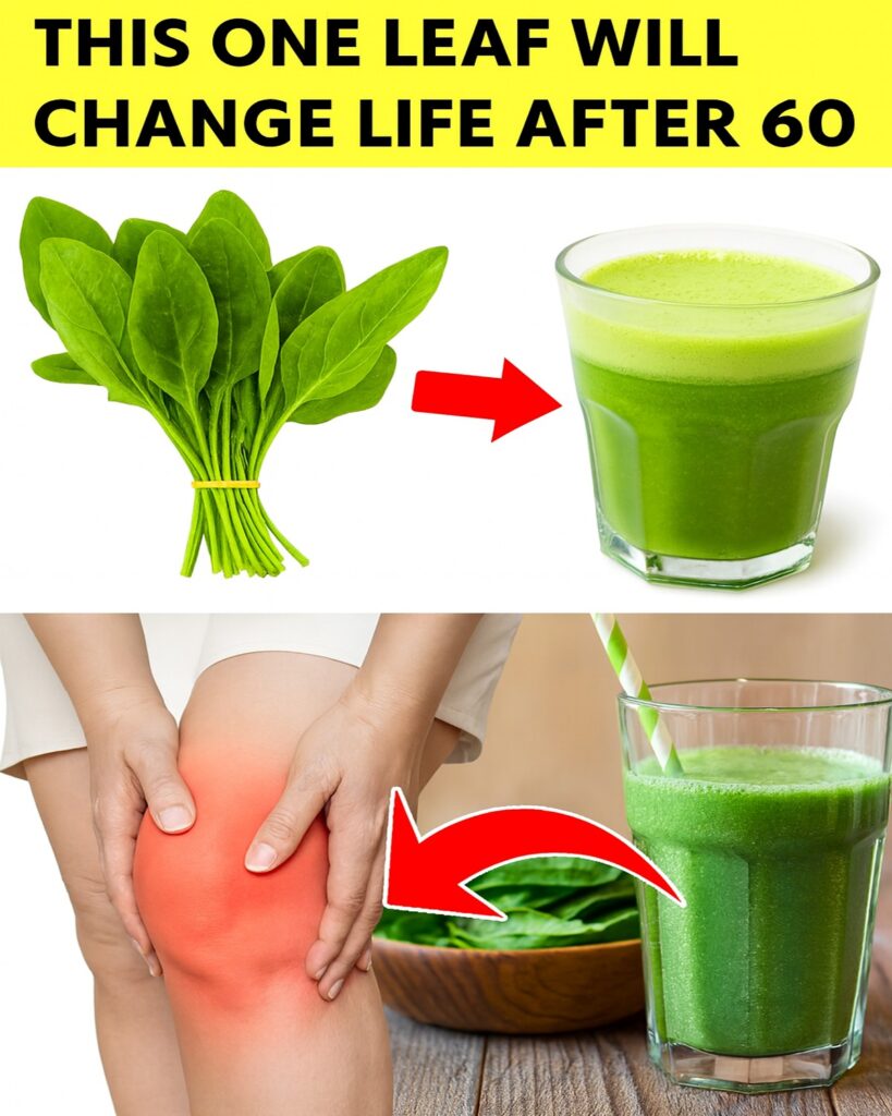 Seniors Over 60: This One Leaf That Destroys Inflammation, Joints Pain & Dementia