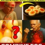 581904513_1255558199921959_7480351406191112667_n