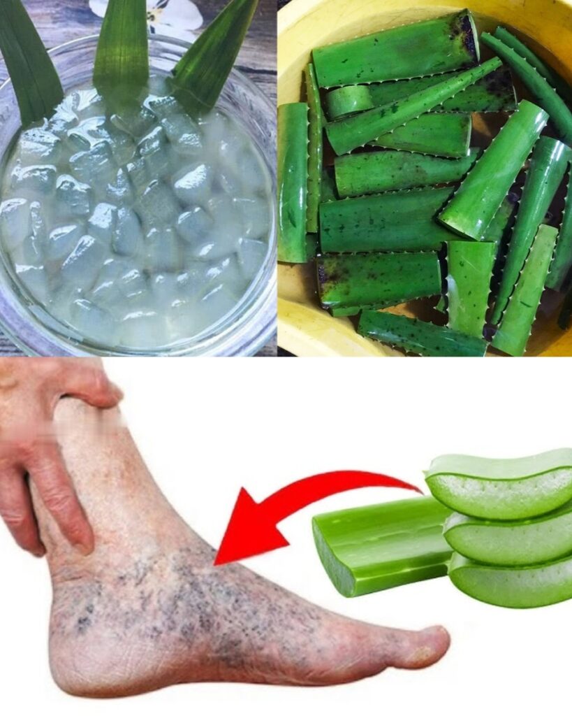 🌿 Say Goodbye to Heavy Legs With This Simple Aloe Vera Ritual — A Natural Way to Soothe, Refresh & Support Circulation