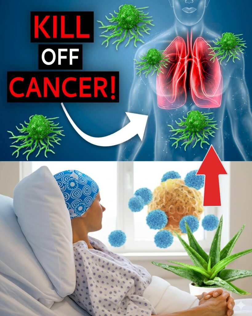 The Cancer-Fighting Leaf Doctors Overlook: Barbara O’Neill’s Hidden Gem