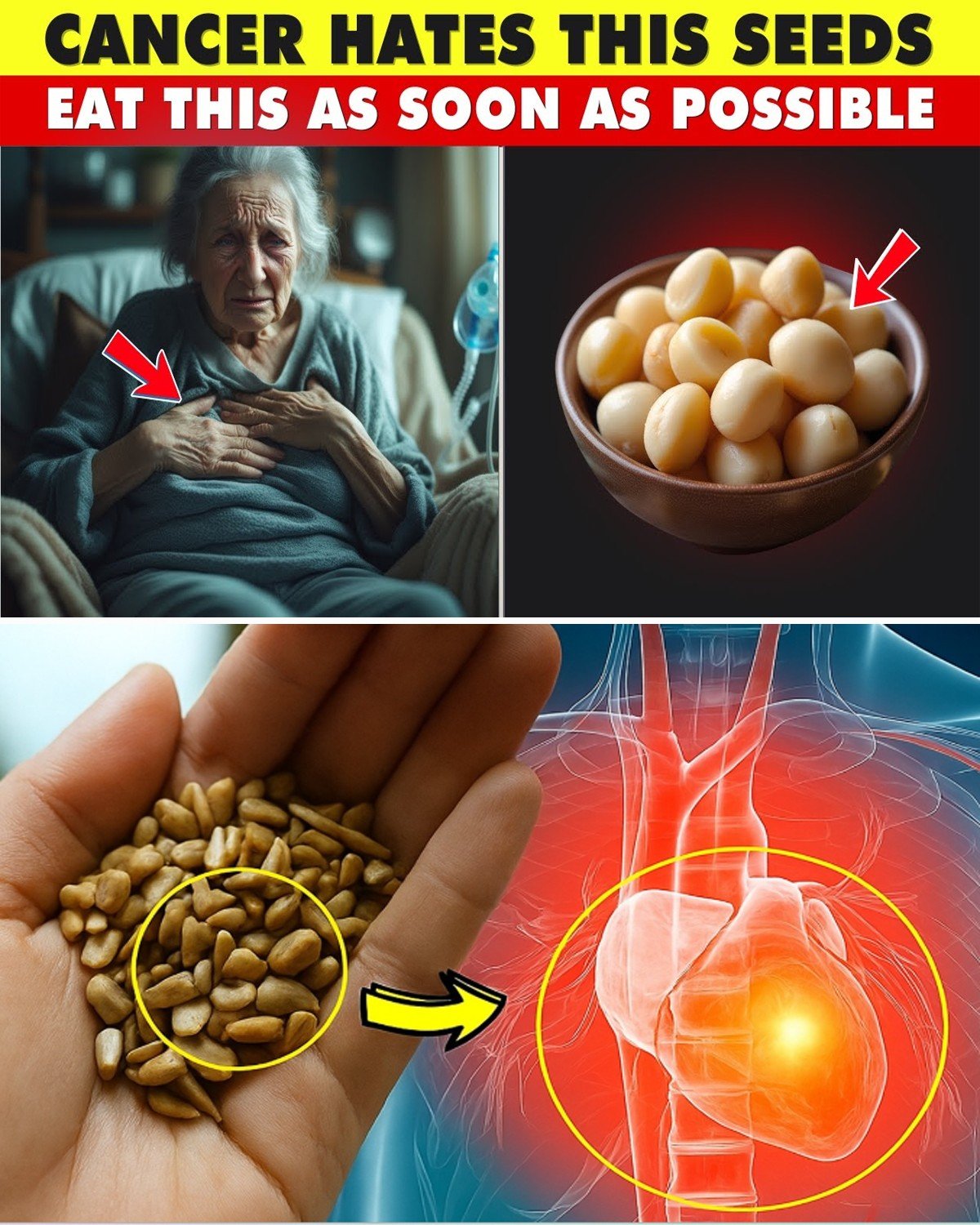 The #1 Vitamin Seniors Over 50 Miss for Warm, Flowing Legs in Days