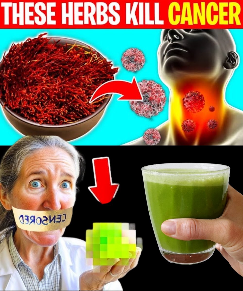 8 Powerful Herbs That Prevent and Kill Cancer (Backed by Science)