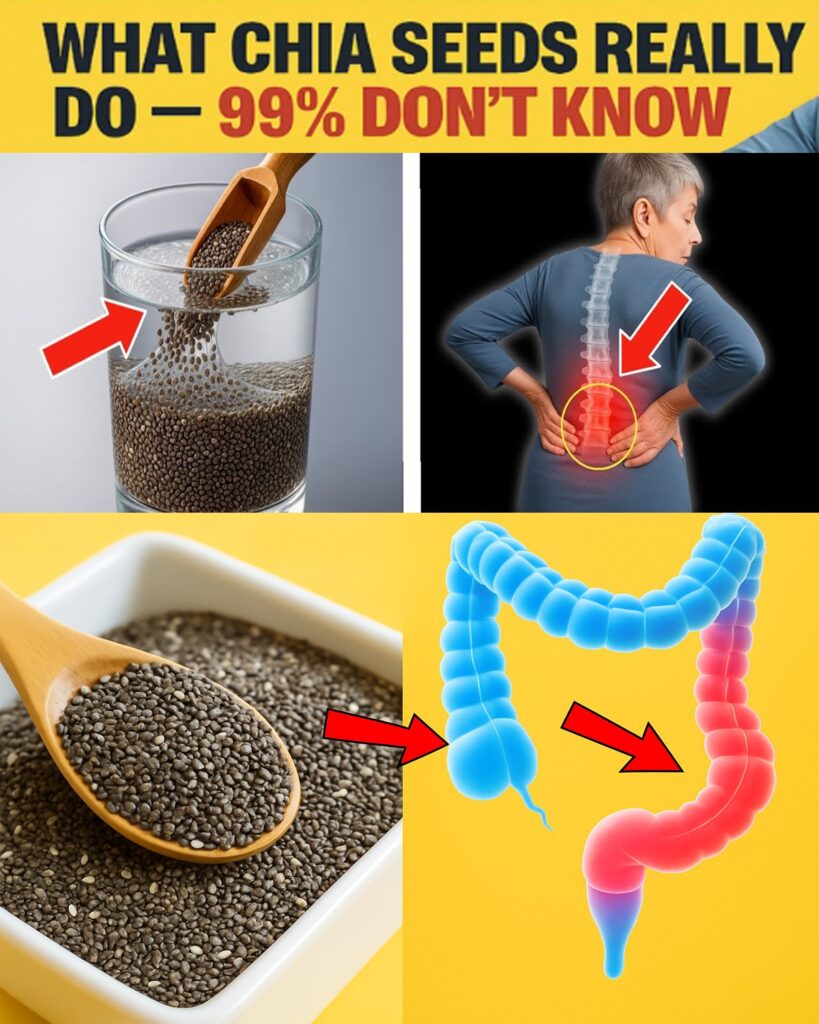 Seniors, You’re Probably Eating Chia Seeds All Wrong – Avoid These 12 Hidden Mistakes Before It’s Too Late!