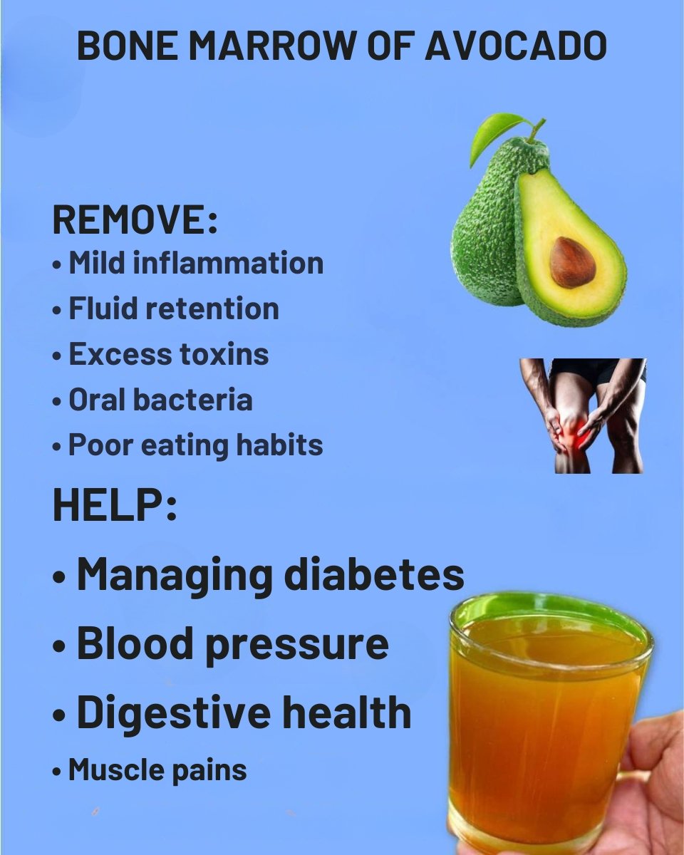 🍃 Avocado Seed Tea: Benefits, Traditional Uses & Easy Recipes