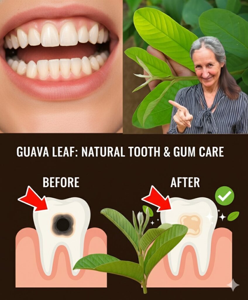 🌿 Unlock Nature’s Secret: Heal Tooth Decay with Guava Leaves in 3 Powerful Ways