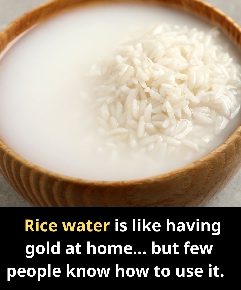Rice Water Is Like Having Gold at Home… But Few People Know How to Use It