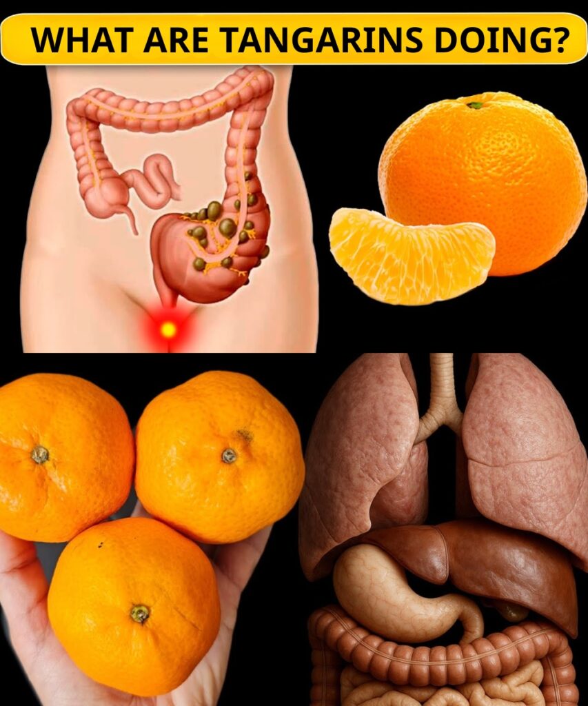 Cleanse Your Kidneys, Liver & Lungs Naturally — Toxins Removed Instantly! ⚡🍋