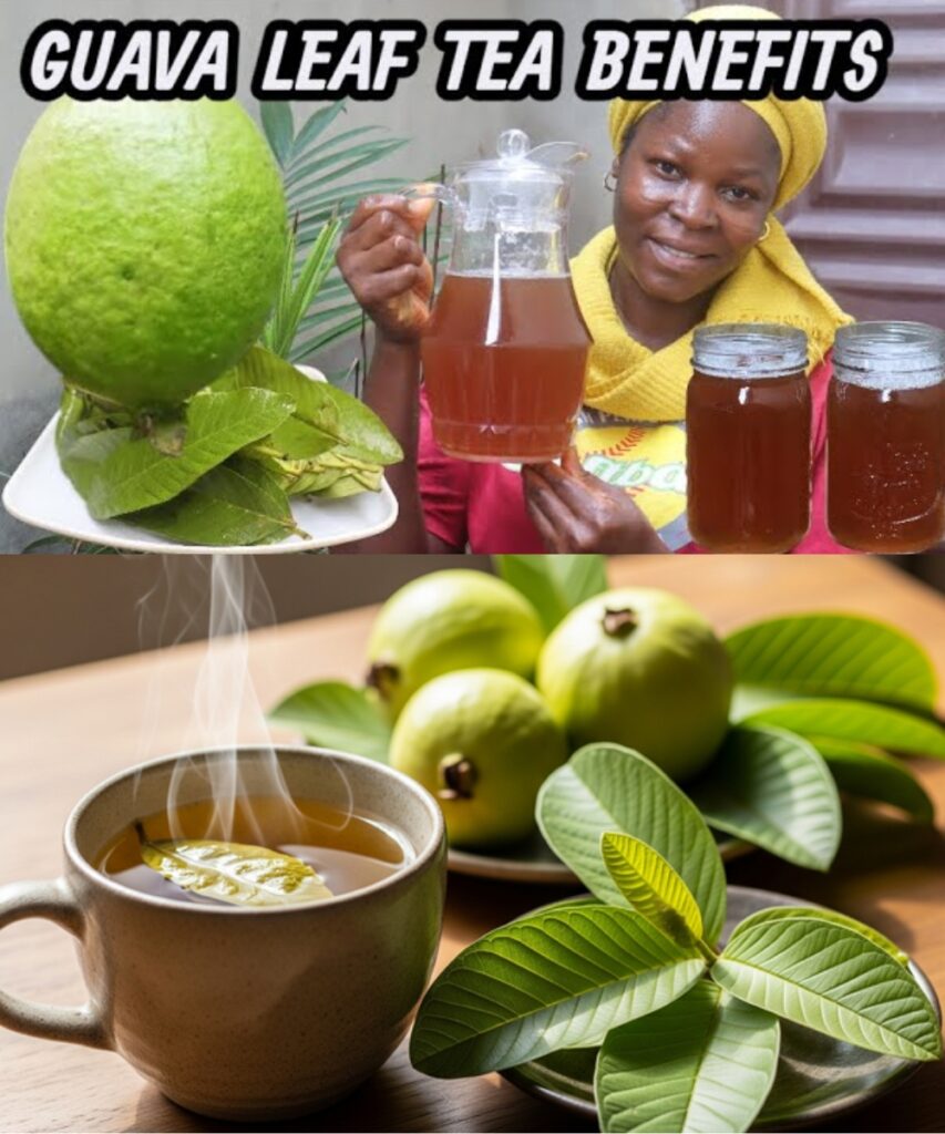 17 Reasons Why You Should Drink Guava Leaf Tea Twice a Week