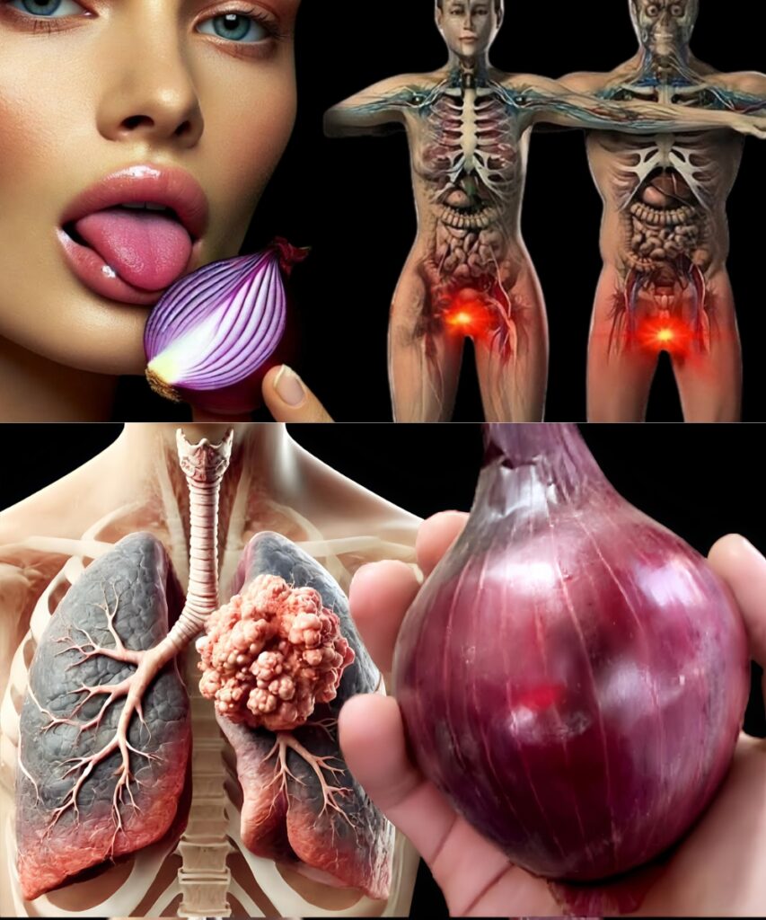 🧅 Onions: A Simple Kitchen Ingredient with Remarkable Wellness Benefits