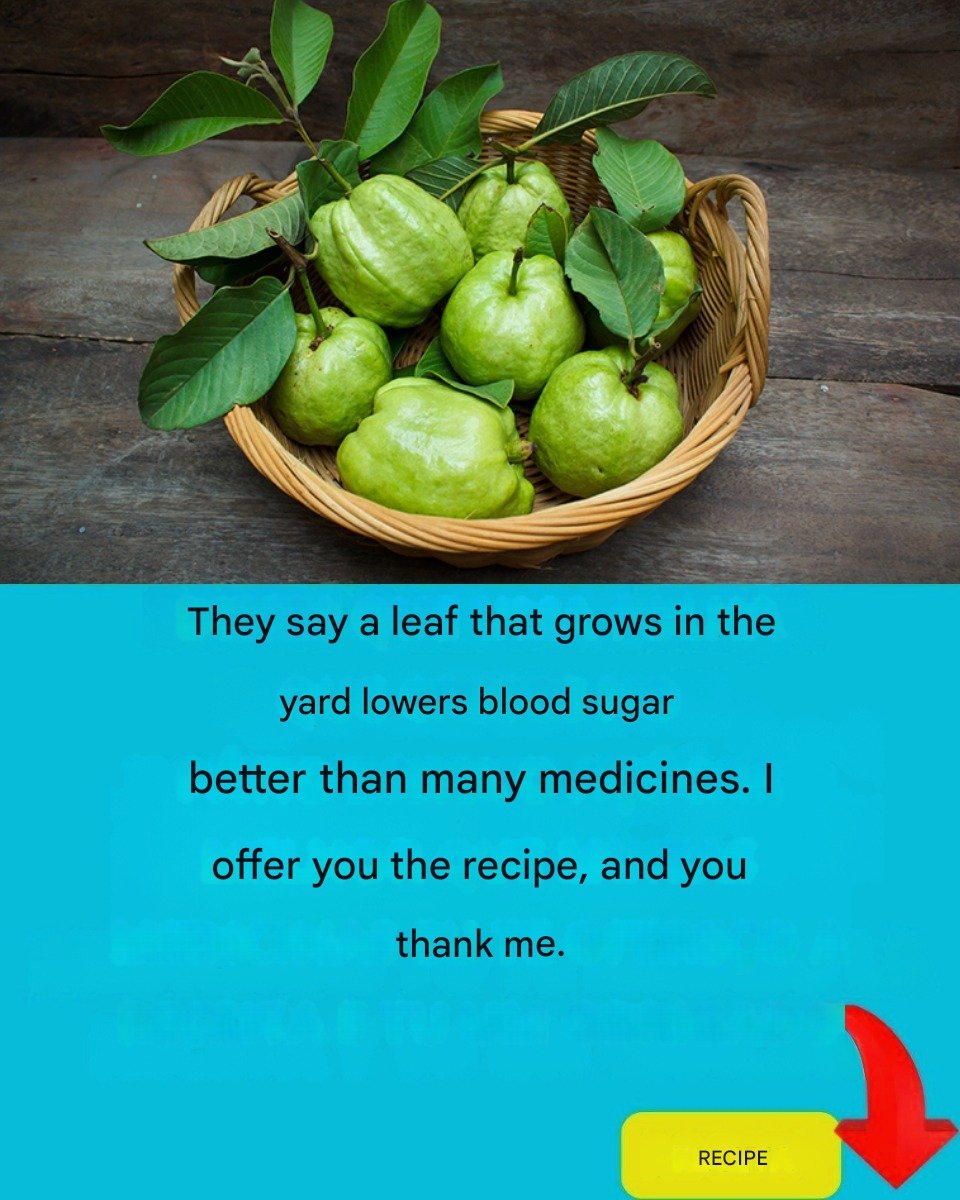 🍃 Say Goodbye to High Sugar Levels: Discover the Natural Power of Guava