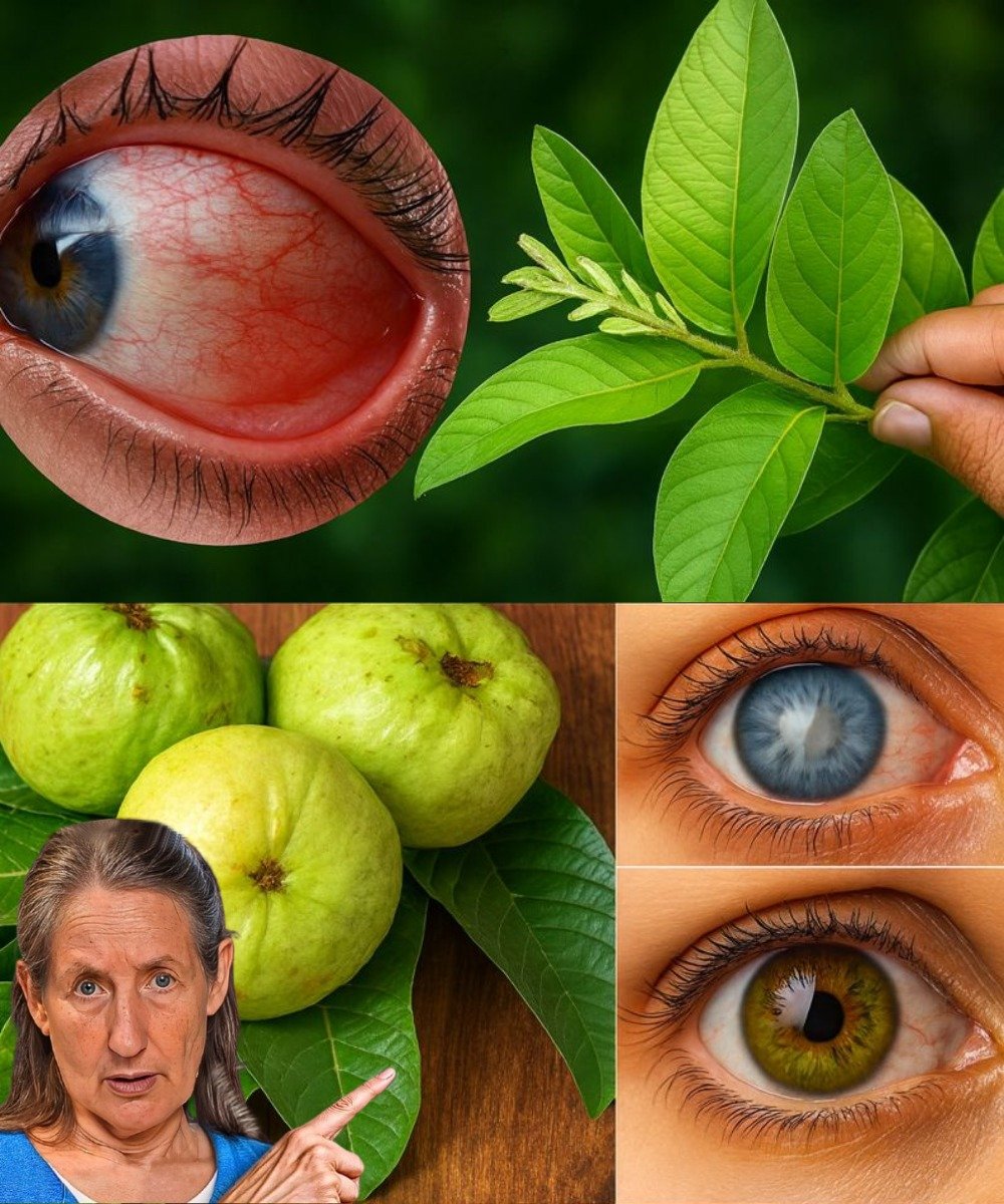 How Guava Can Naturally Brighten Your Eyes and Support Better Vision