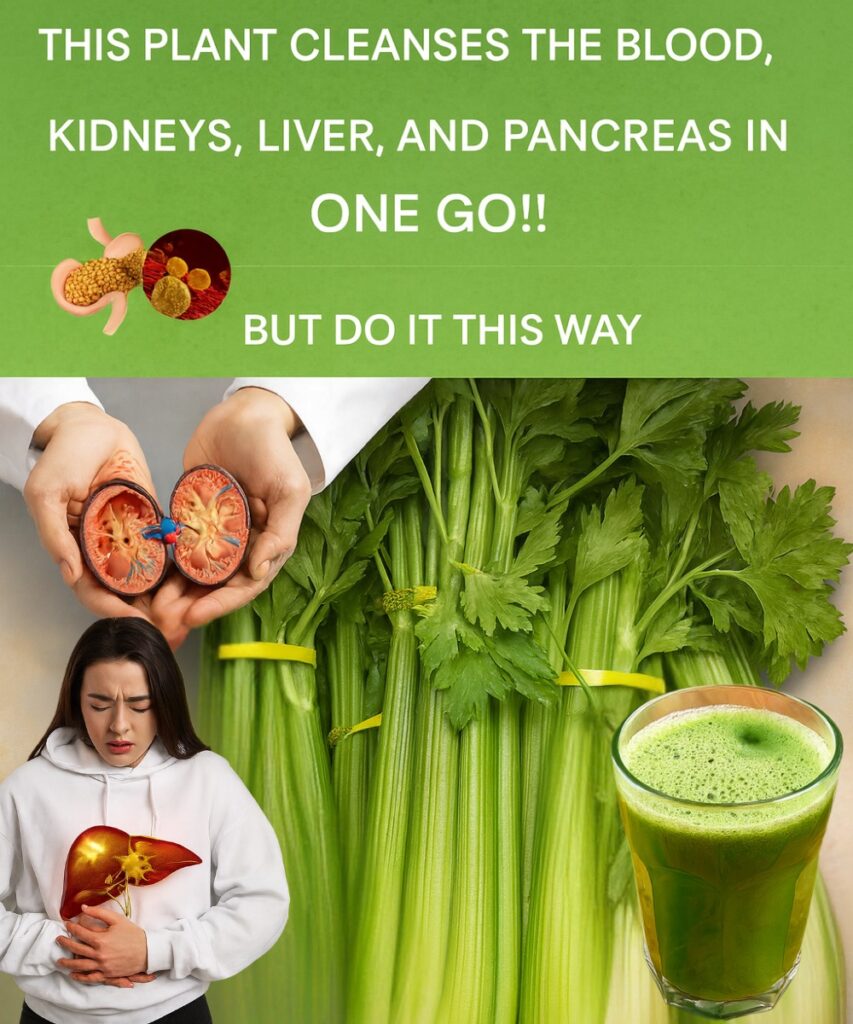 The One Kitchen Plant That Naturally Cleanses Your Blood and Gives You Glowing Skin (When Used THIS Way)