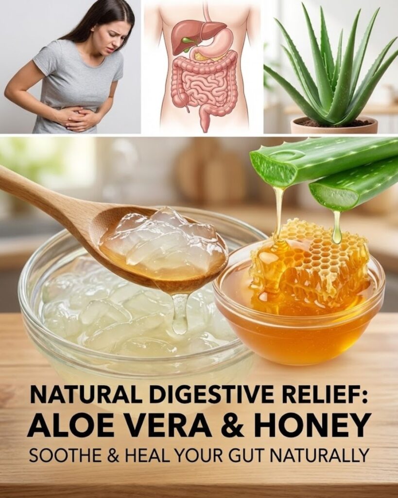 The One Morning Drink Every Woman Over 40 Needs in Her Life: Aloe Vera Water + Honey (12 Benefits That Will Make You Cry With Joy – No. 7 Saved My Best Friend’s Marriage)