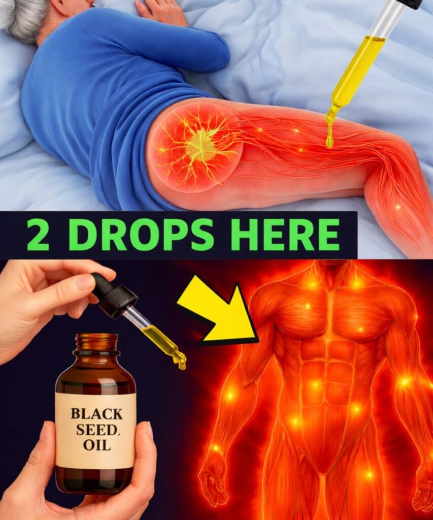 Why Black Seed Oil May Be the Natural Support Many Seniors Over 65 Are Missing for Daily Comfort