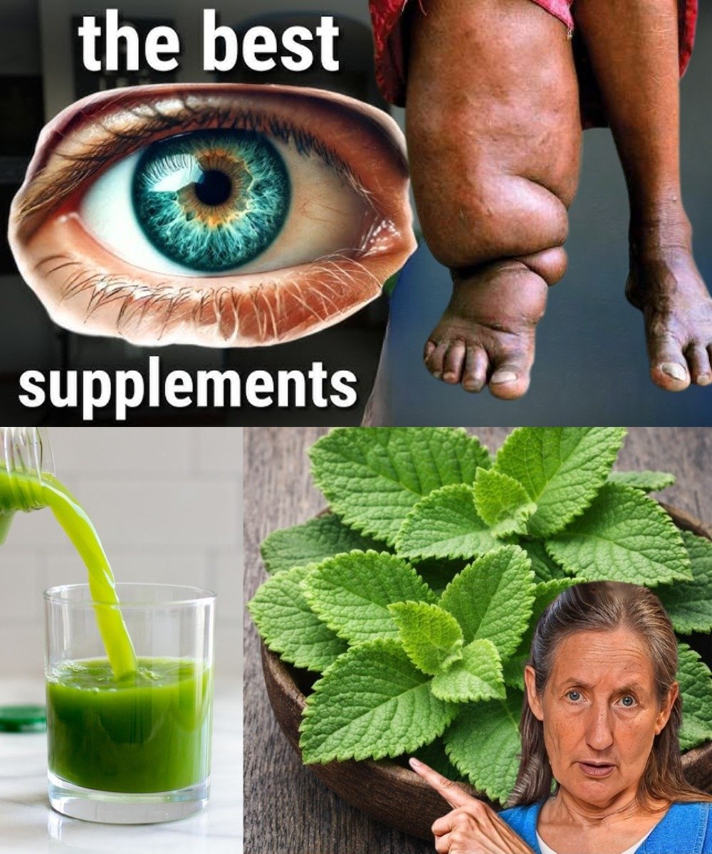 Can One Simple Leaf a Day Really Support Your Daily Wellness? Discover Indian Borage (Cuban Oregano)