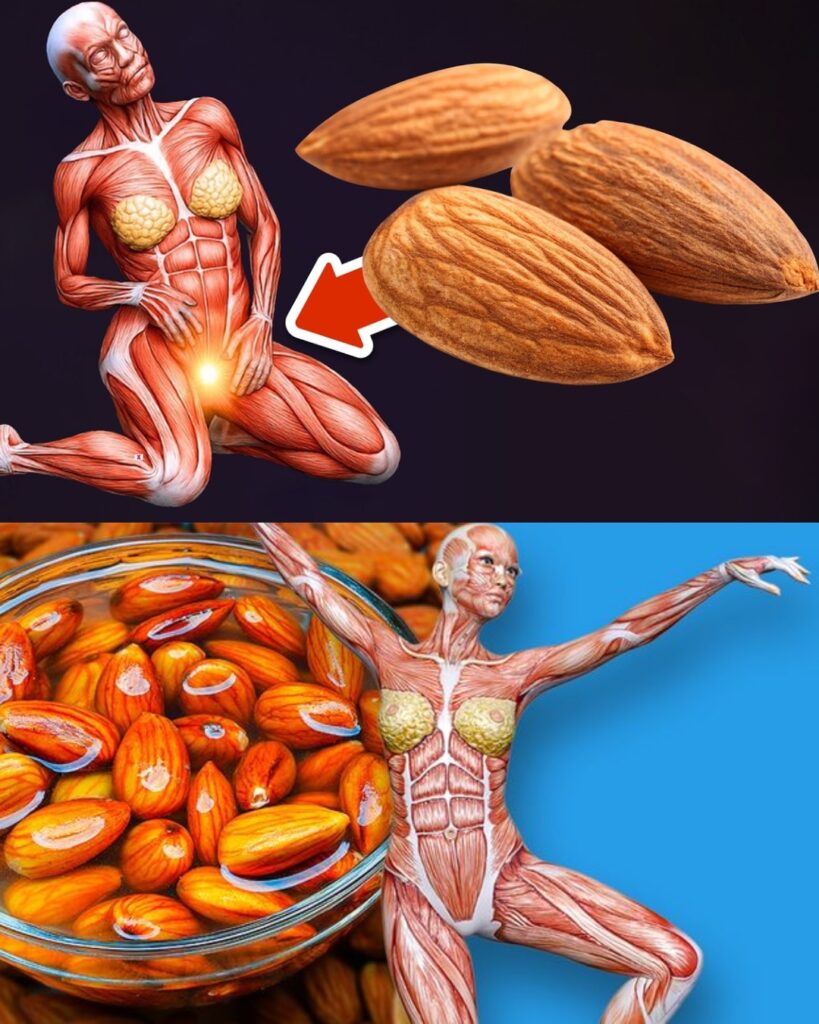 She Ate 3 Almonds a Day — What Happened Next Changed Her Life 💥🤯