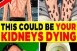 10 Surprising Signs Your Kidneys Are Begging for Help – And Why Ignoring Them Could Change Your Life
