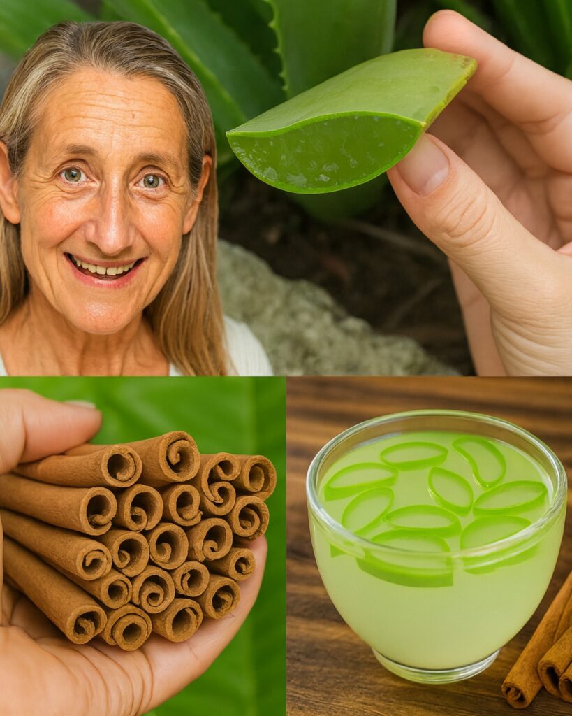 Aloe Vera and Cinnamon: An Overlooked Wellness Duo