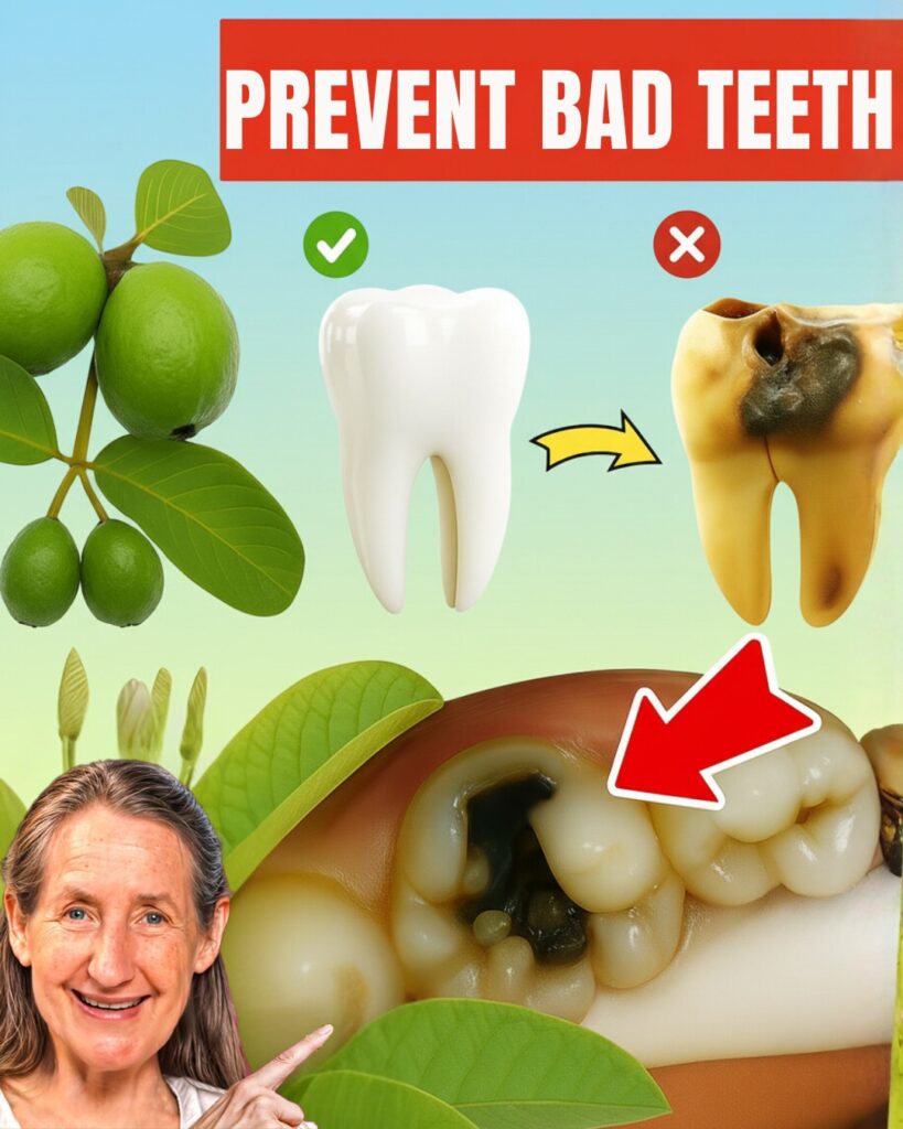 Can Guava Leaves Erase Cavities Overnight? Discover the Secret Now!