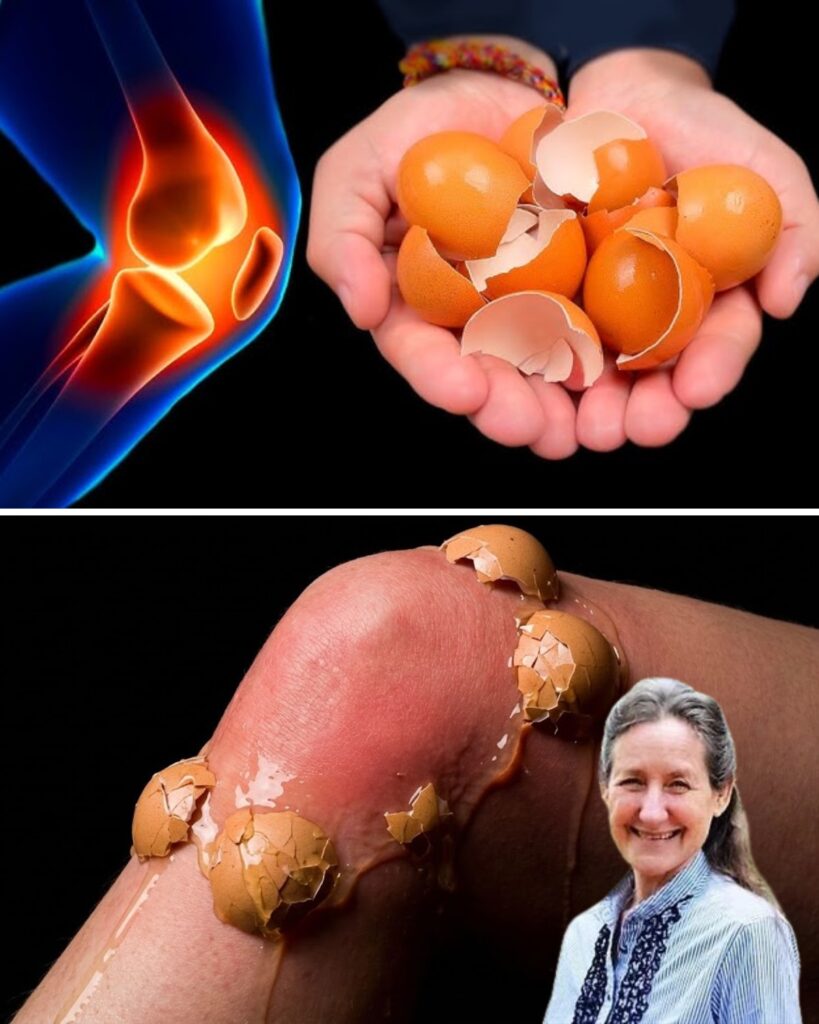 Discover the Hidden Power of Eggshells for Easier Joint Movement