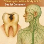 Rotten Tooth & Lymphatic System: The Hidden Inflammation Spreading Through the Body