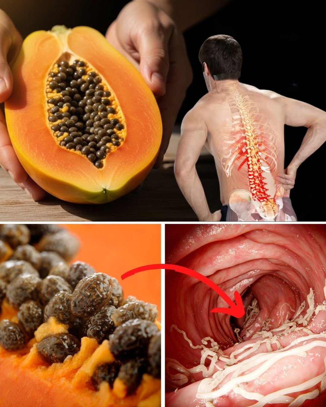 What Happens to Your Body When You Start Eating Papaya Seeds?