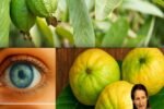 Guava: Unlock Crystal-Clear Vision with Nature’s Hidden Superfruit