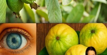 Guava: Unlock Crystal-Clear Vision with Nature’s Hidden Superfruit