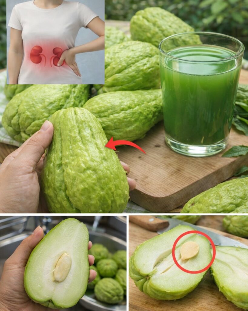 How Chayote, Garlic, and Lemon May Support Joint Comfort, Circulation, Cholesterol Balance, and Daily Vitality