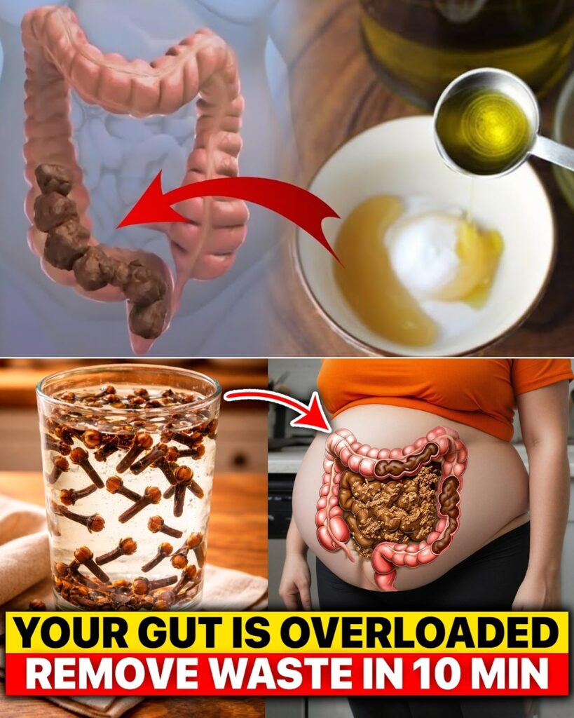 7 Powerful Natural Drinks to Support Gentle Digestive Regularity and Gut Wellness