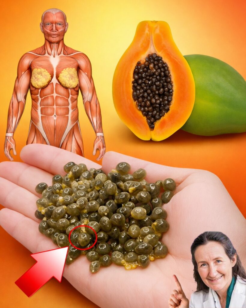 Papaya Seeds for Gut Health: The Simple Secret Inside Your Fruit That Many People Overlook