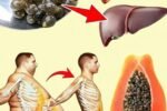 Papaya Seeds: The Powerful Superfood You’re Throwing in the Trash Without Knowing It