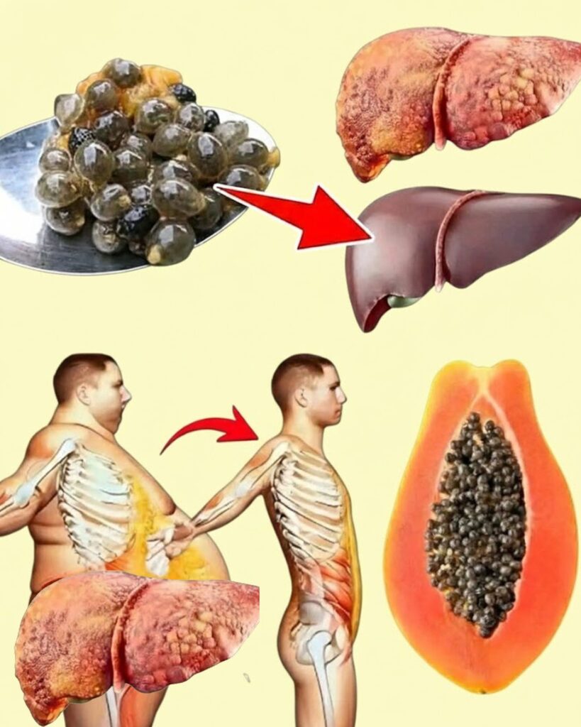 Papaya Seeds: The Powerful Superfood You’re Throwing in the Trash Without Knowing It