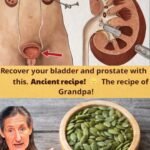 Pumpkin Seeds: The Natural Food That May Support Prostate Health as You Age