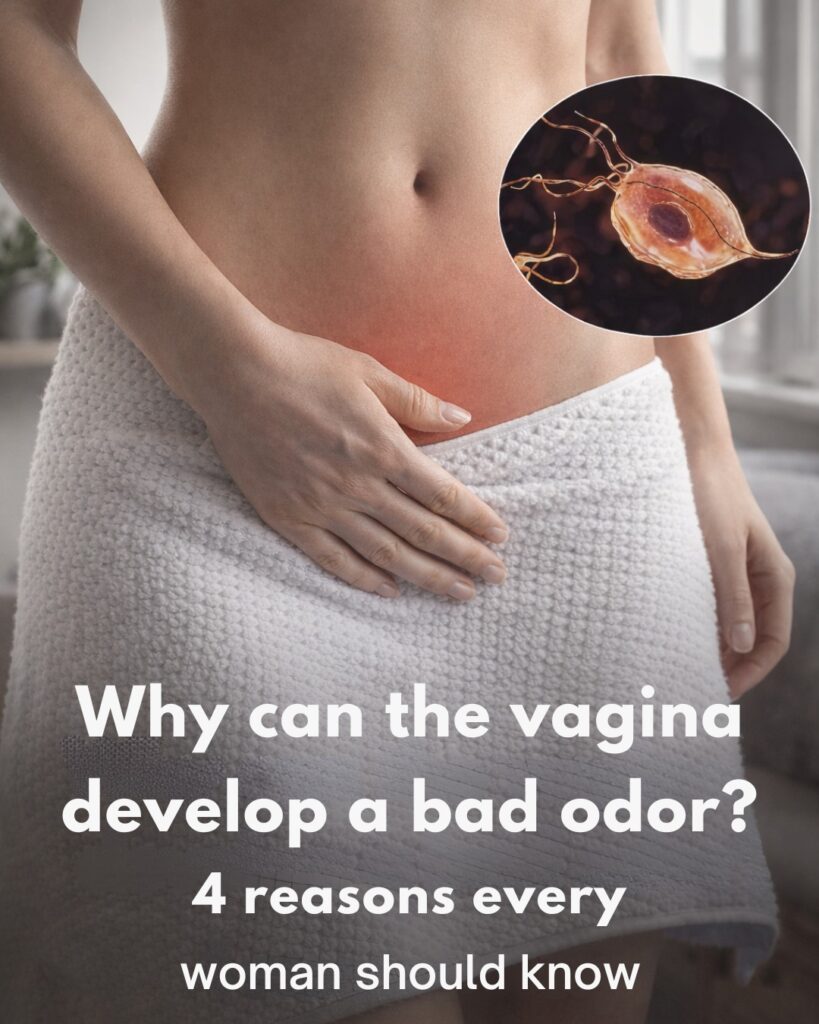 Why Can the Female Intimate Area Smell Bad? 4 Common Reasons Every Woman Should Know