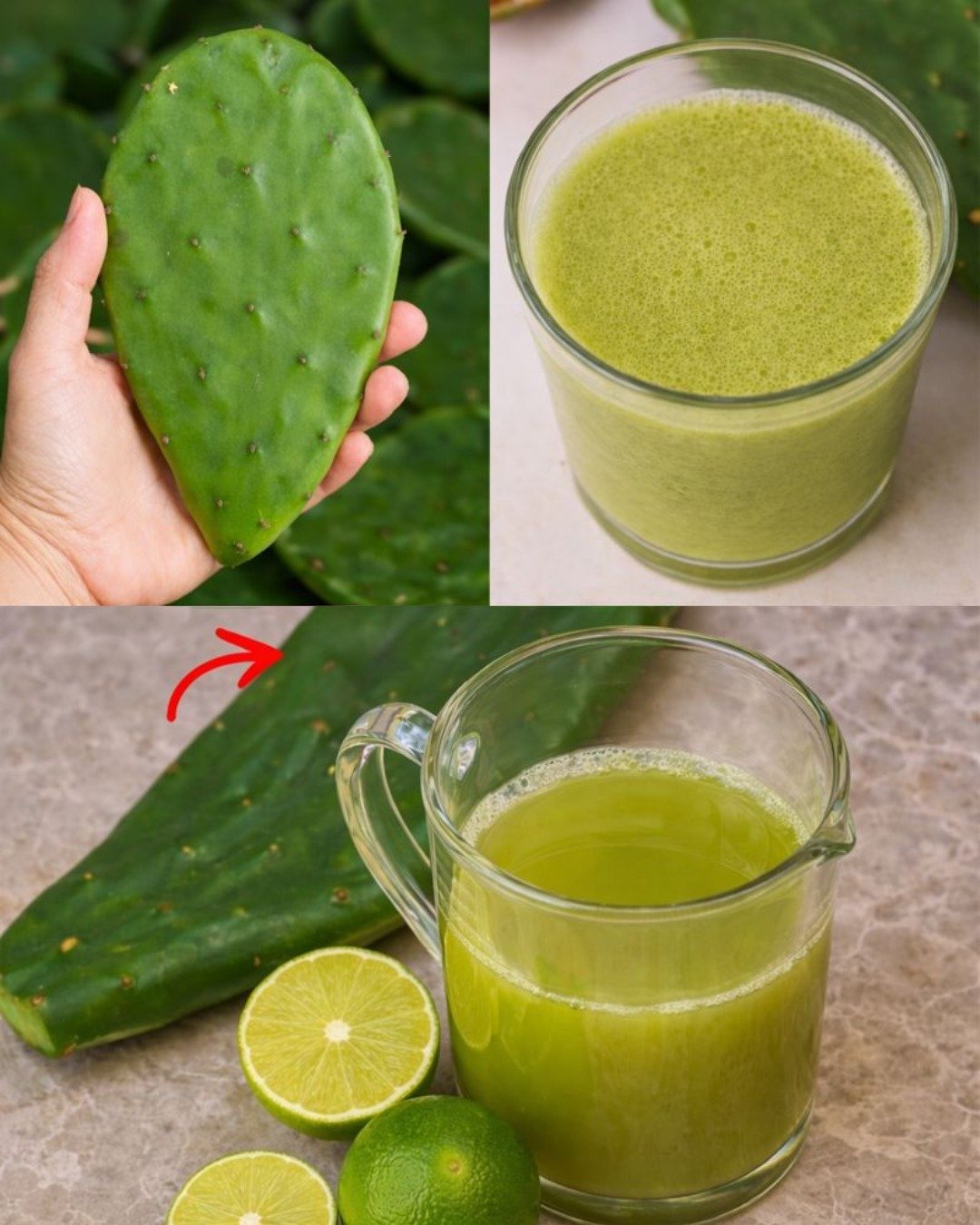 Nopal and Lemon: A Traditional Remedy That May Support Healthy Blood Sugar Levels – What Science Says