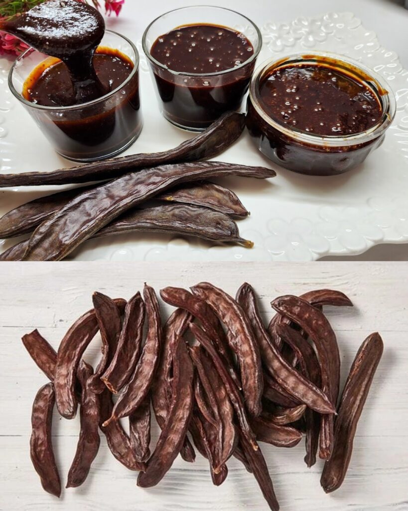 Carob (Ceratonia siliqua): Health Benefits and Simple Homemade Uses